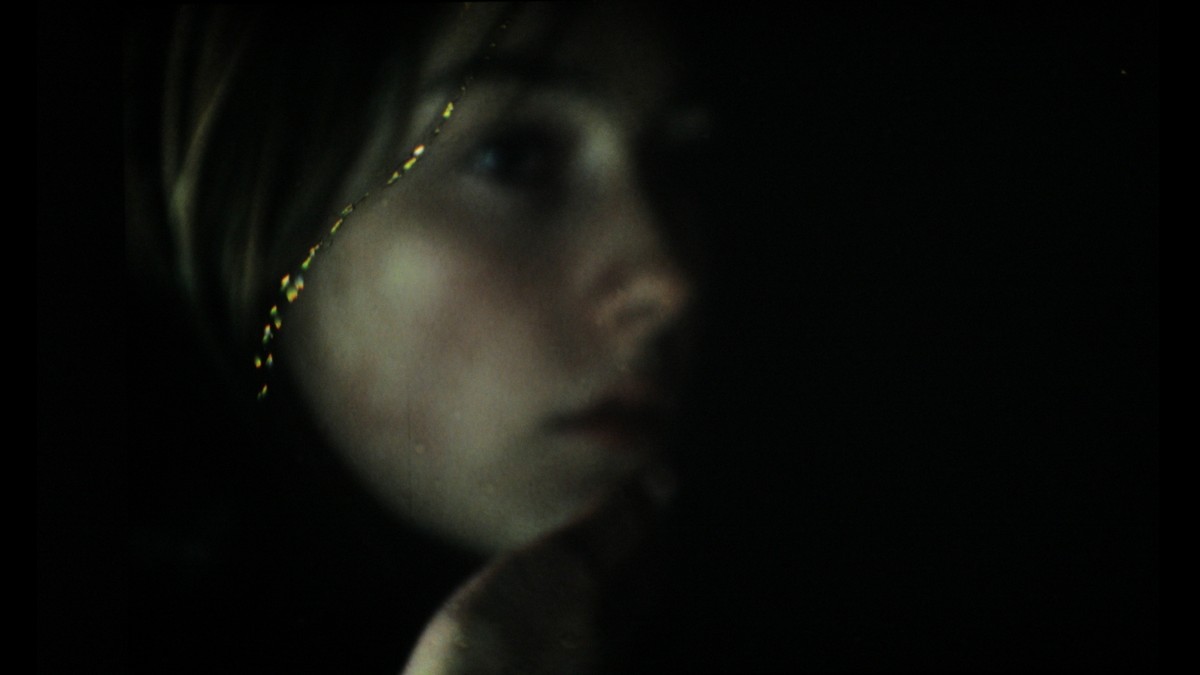 Catalogue of Swallowed Images