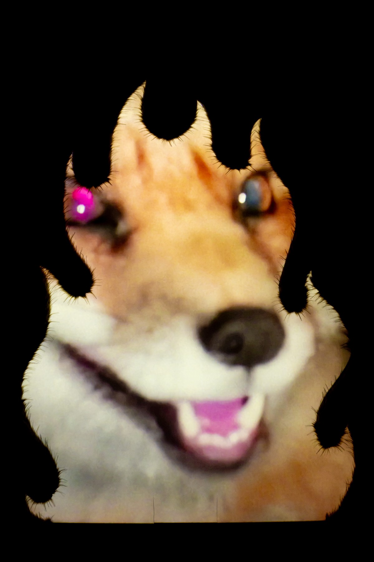 Nous sommes le festin