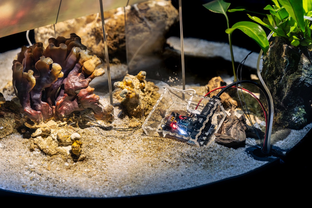 Sphère 3 : L'île et l'insulation