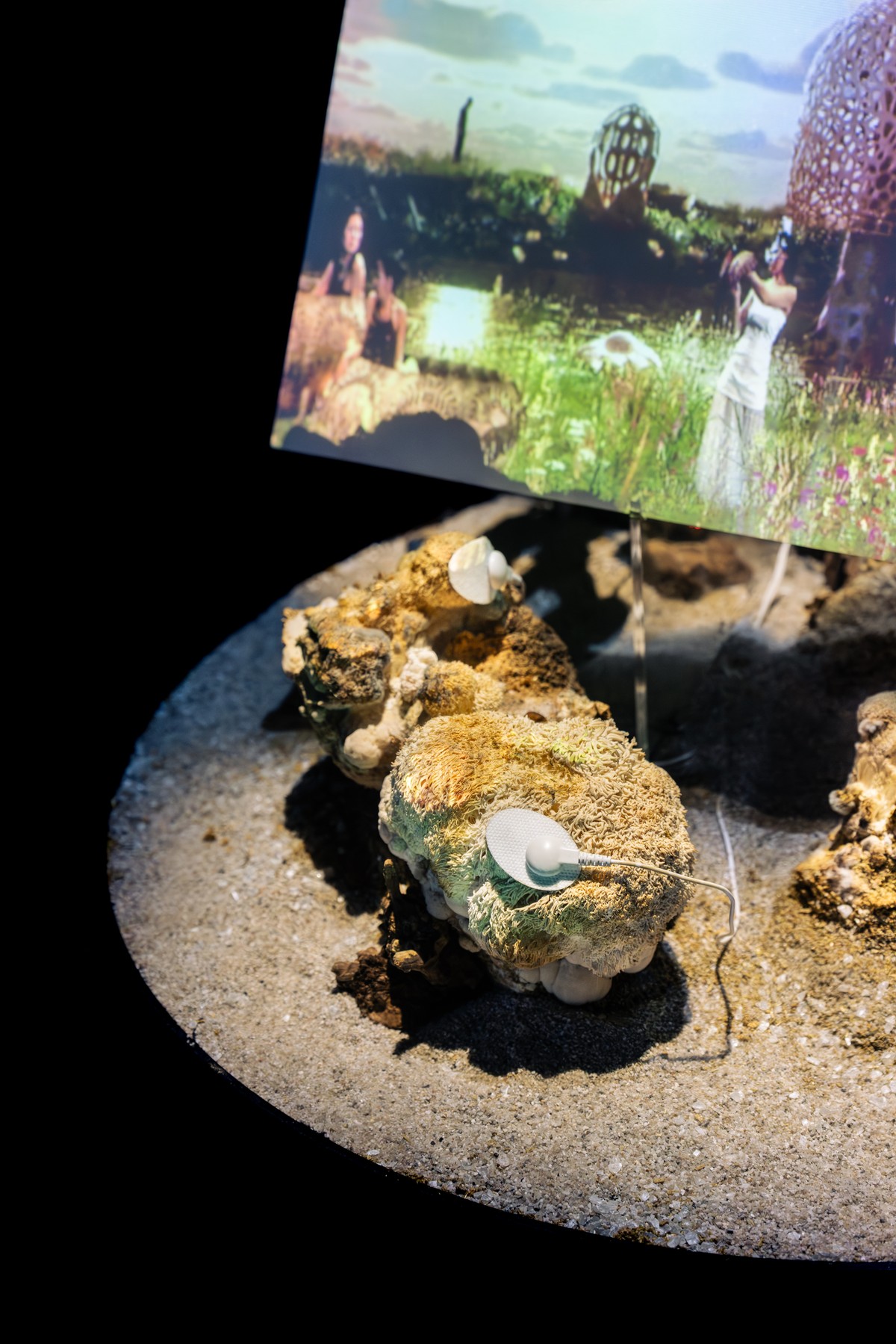 Sphère 3 : L'île et l'insulation