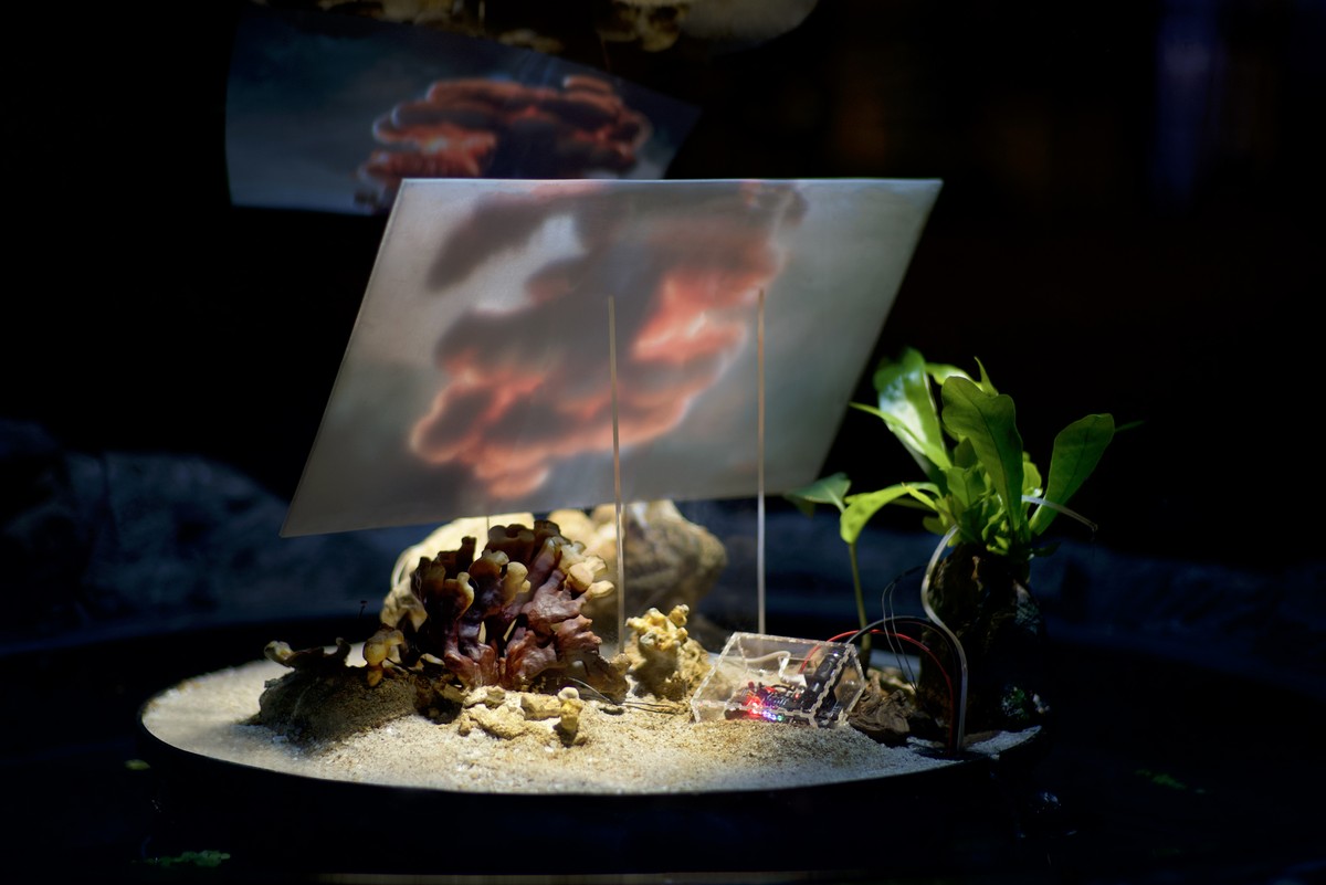 Sphère 3 : L'île et l'insulation