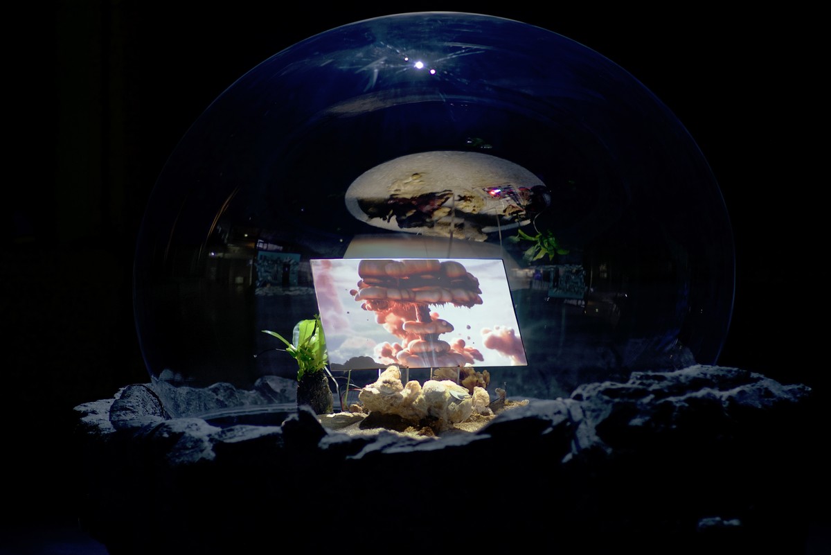 Sphère 3 : L'île et l'insulation