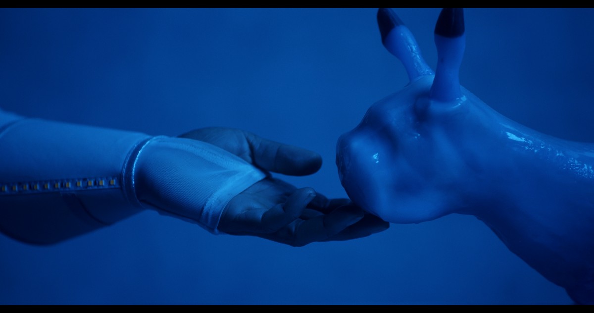 Vospora / A singing empathetic robot-pet