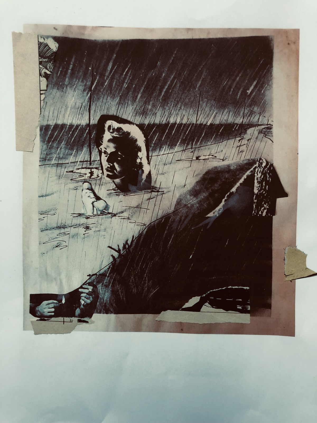 LA MONTÉE DES FLAMMES EN TERRITOIRE HUMIDE