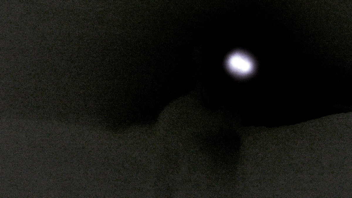 Out of Sight