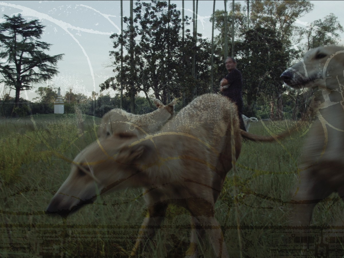 Reconstitución