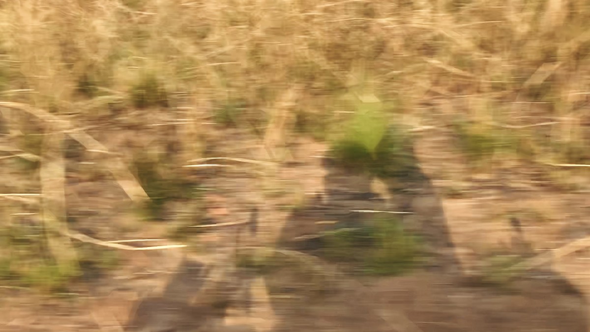 RN1 : traversée katangaise