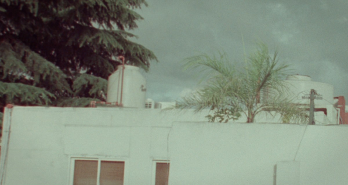 Espectaculos variados para eventos varios part 1