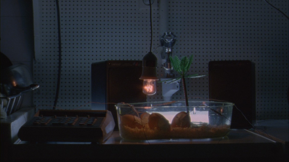 A GUEST + A HOST = A GHOST