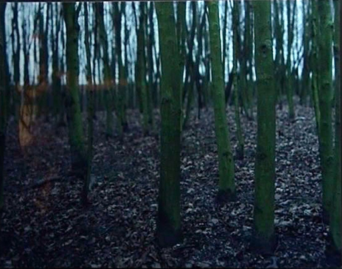 Des moments et des lieux