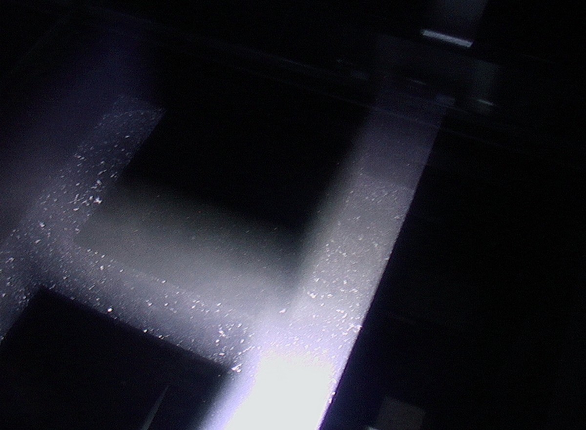 Comprendre / ressentir / The Portrait of Text