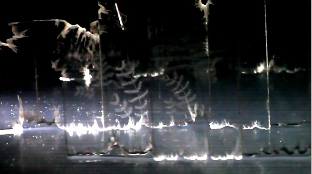 L'île des ondes millénaires