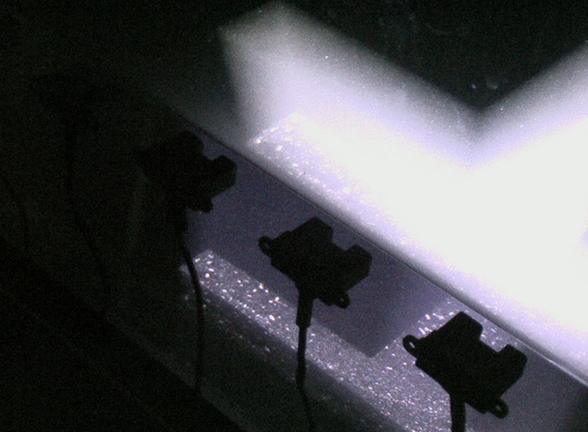 Comprendre / ressentir / The Portrait of Text