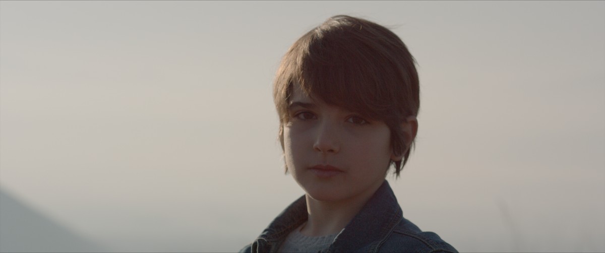 Gli elefanti di Annibale