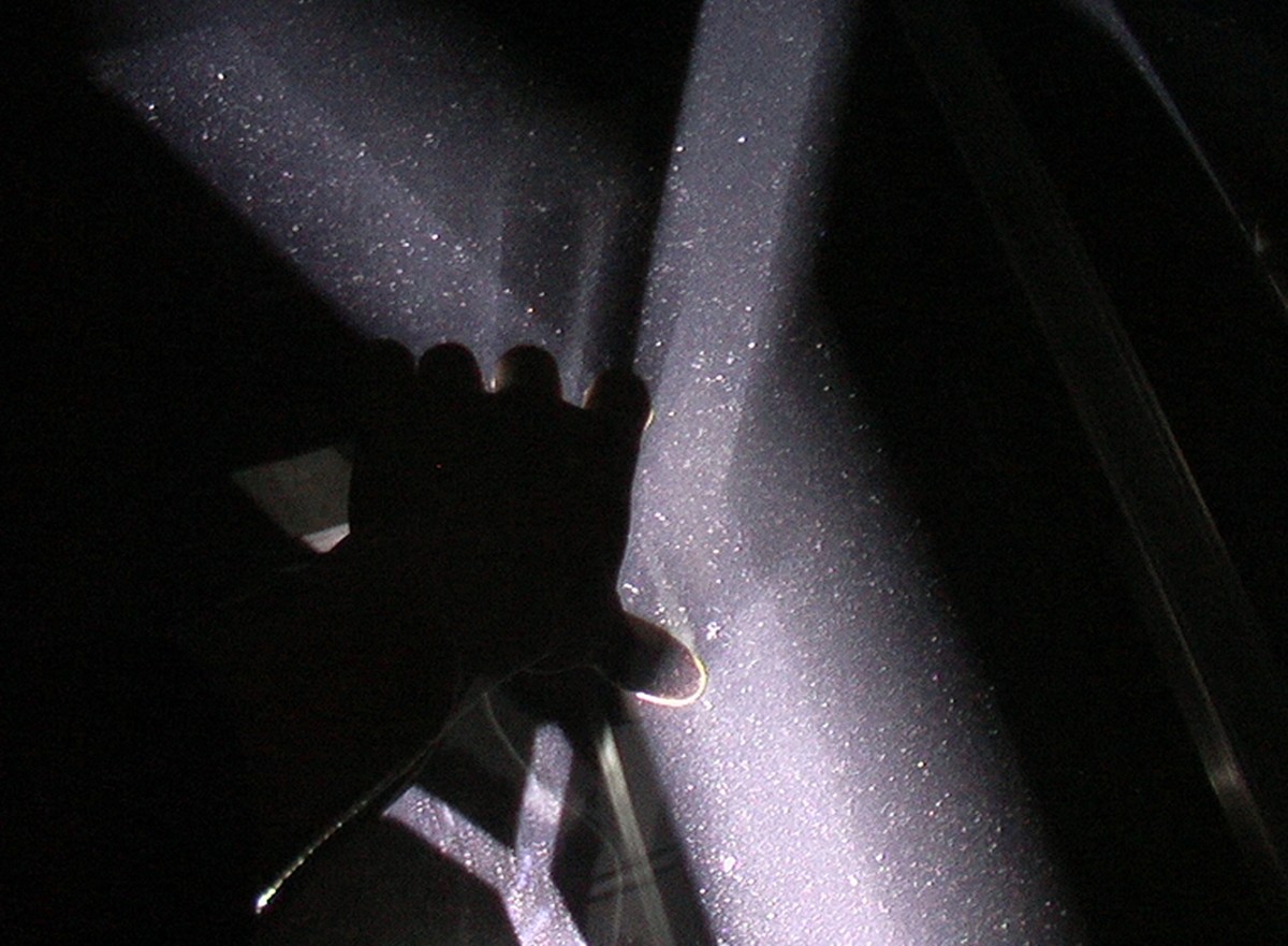 Comprendre / ressentir / The Portrait of Text