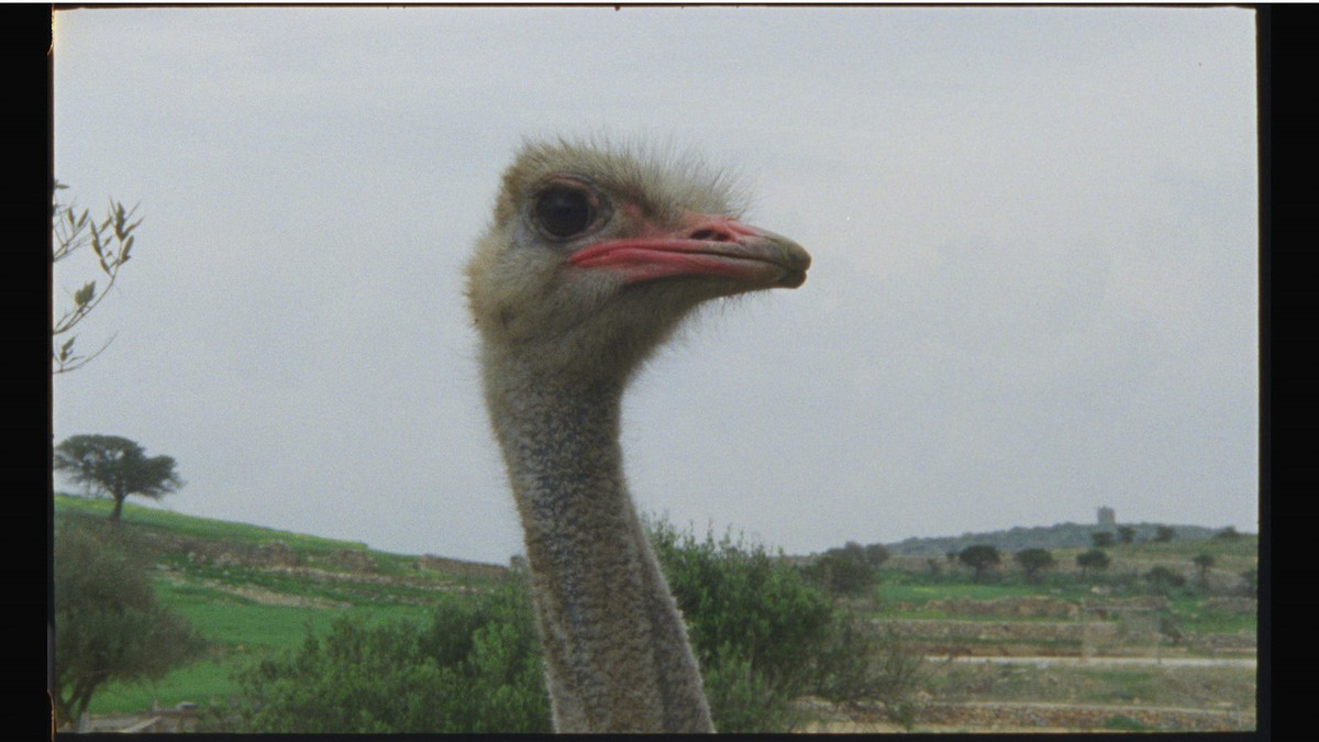 Archipels, granites dénudés