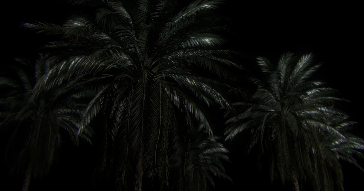 L'Horizon des événements