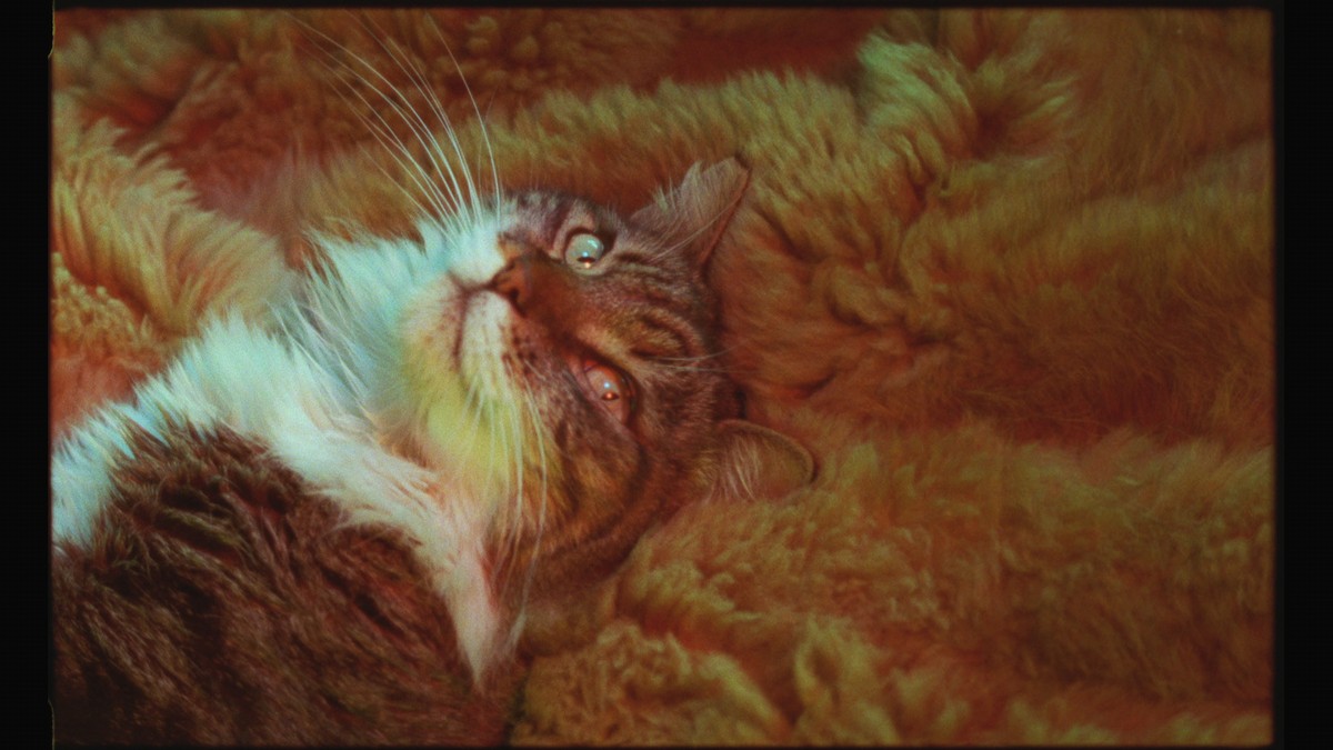 Archipels, granites dénudés