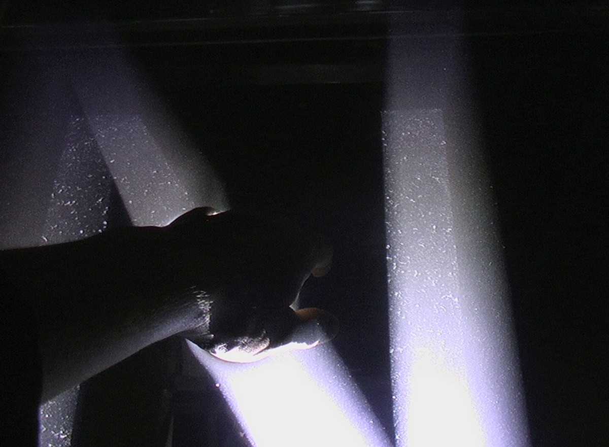 Comprendre / ressentir / The Portrait of Text