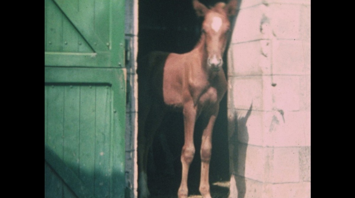 Le mort saisit le vif