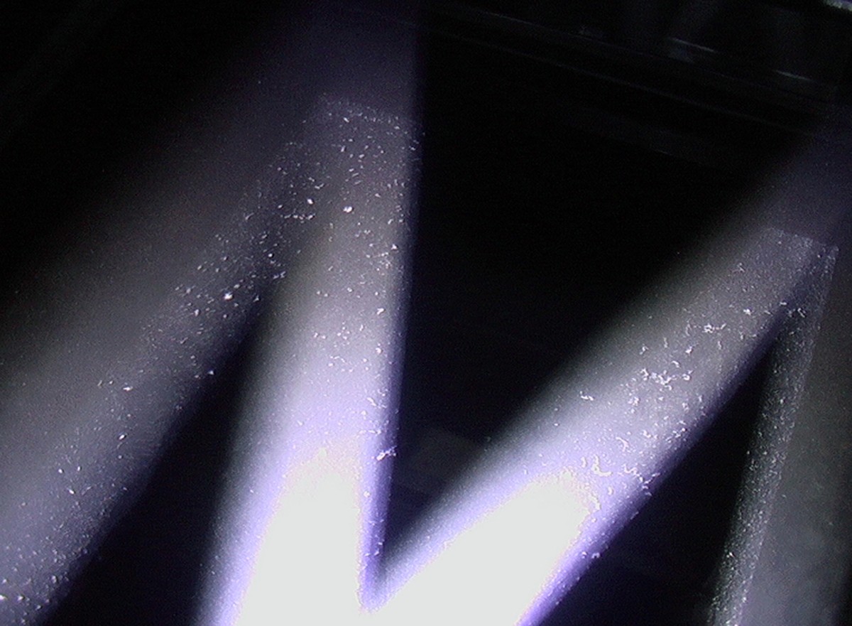 Comprendre / ressentir / The Portrait of Text