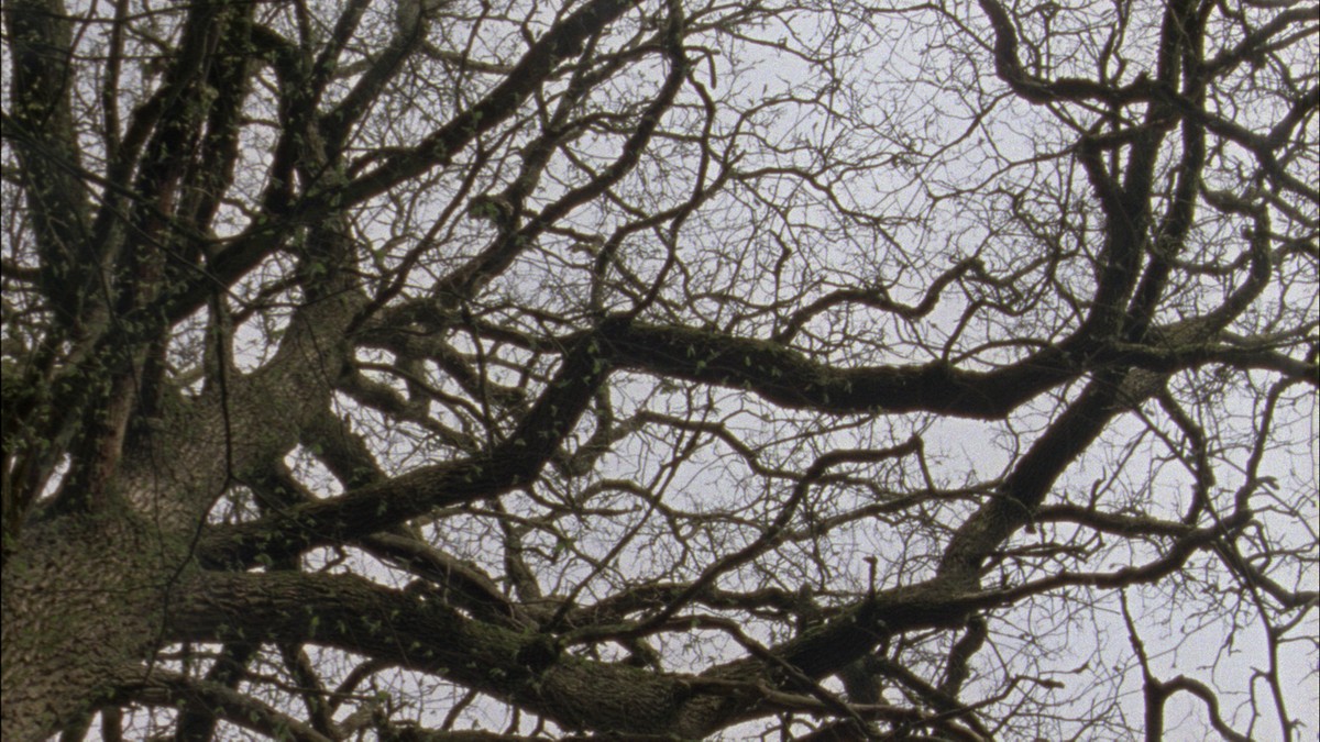 Un métier virgule deux