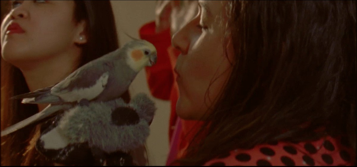 L’effet cocktail party