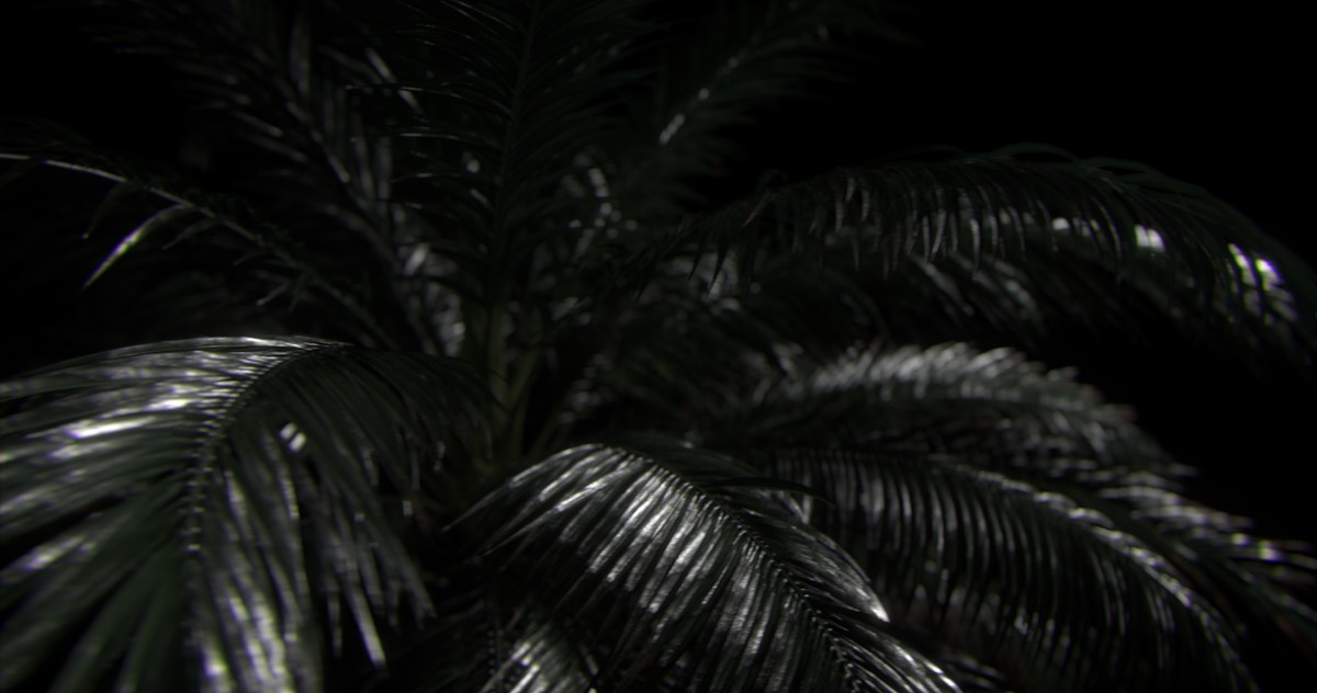 L'Horizon des événements