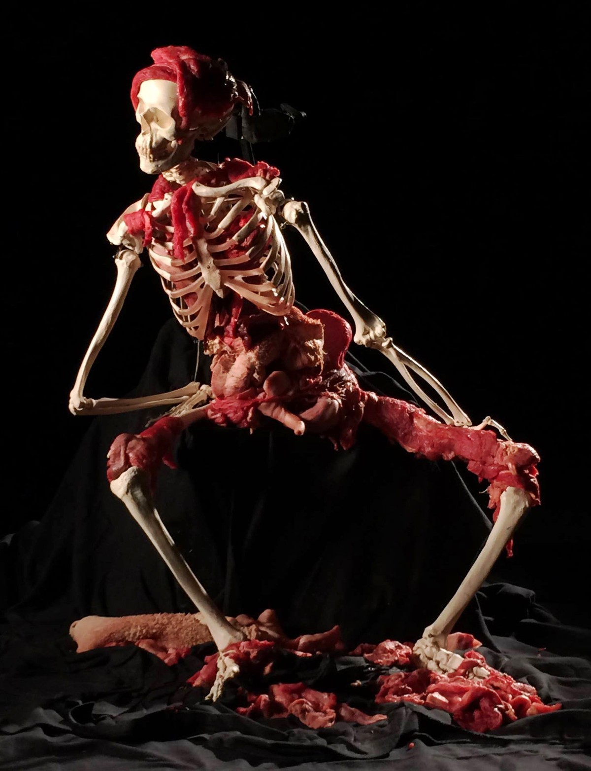 Sheldon, Le Squelette Humaniste