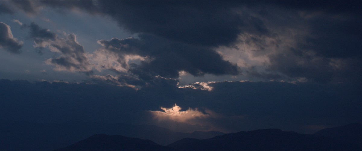 Gli elefanti di Annibale