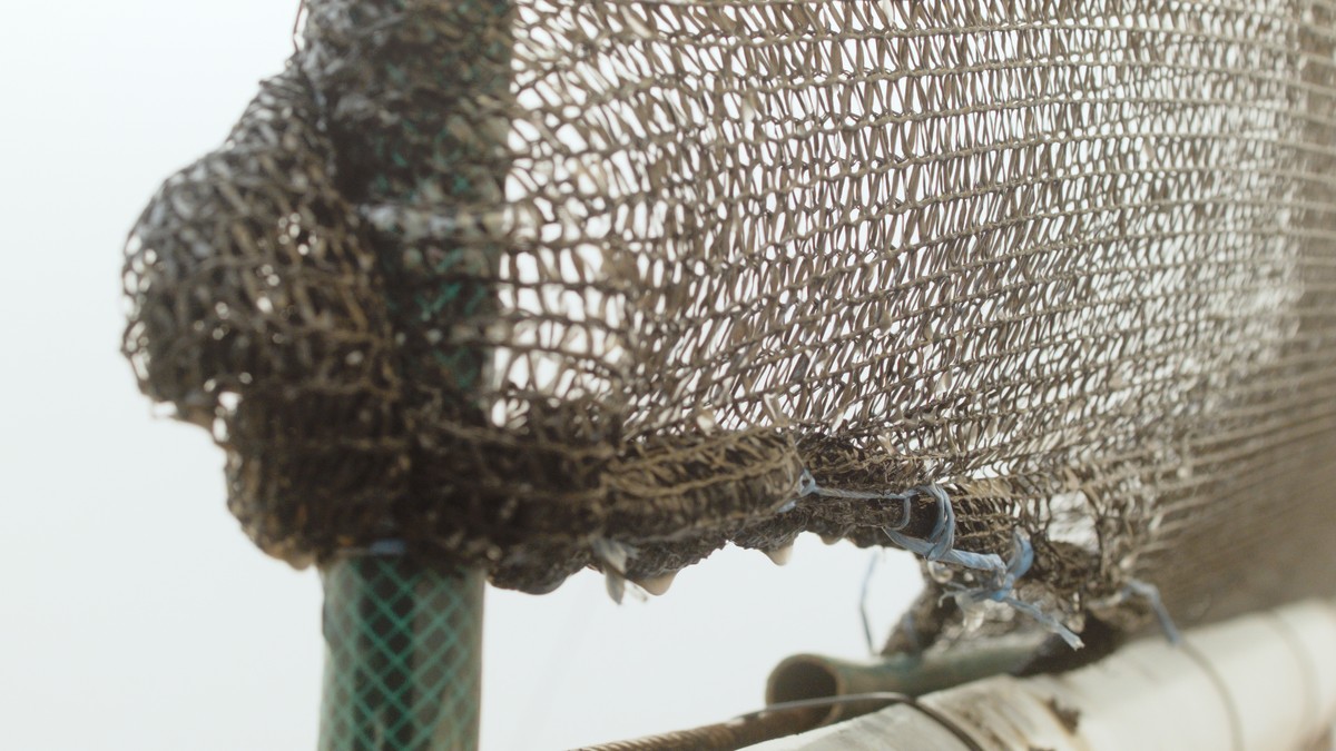 Camanchaca, là où les corps crient