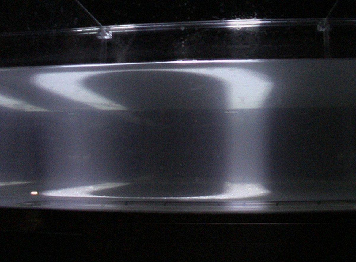 Comprendre / ressentir / The Portrait of Text