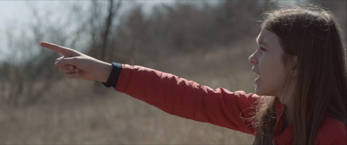 Gli elefanti di Annibale