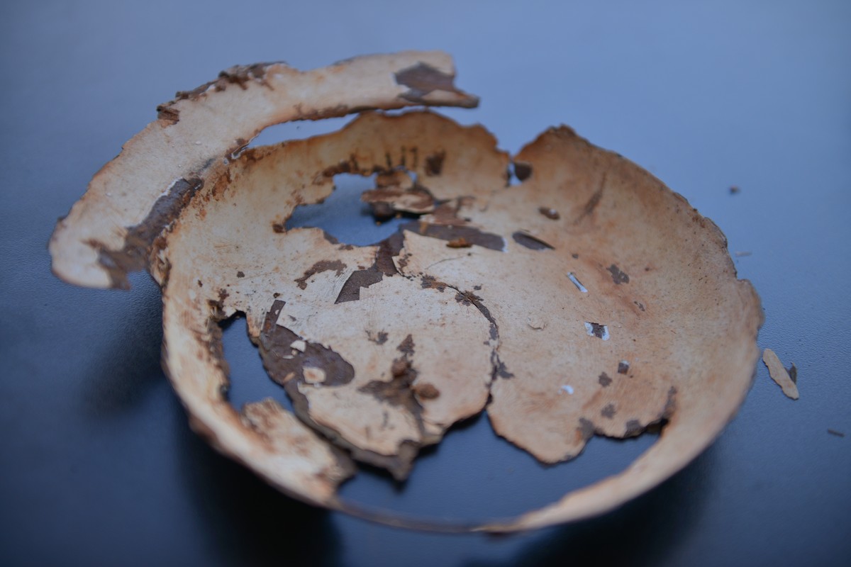 L'année où les satellites naissaient