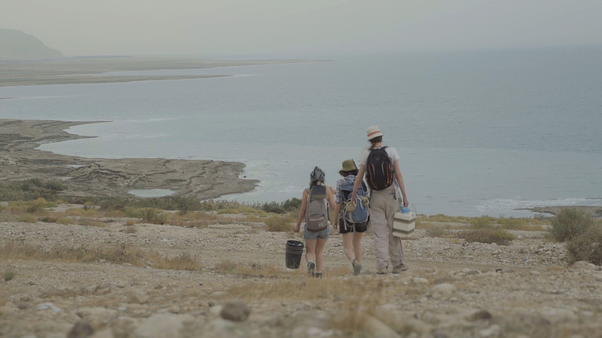 Sheldon, Le Squelette Humaniste