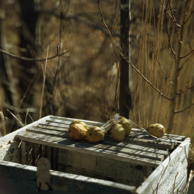 Images de fruits rêvées par de vieux paysans en hiver