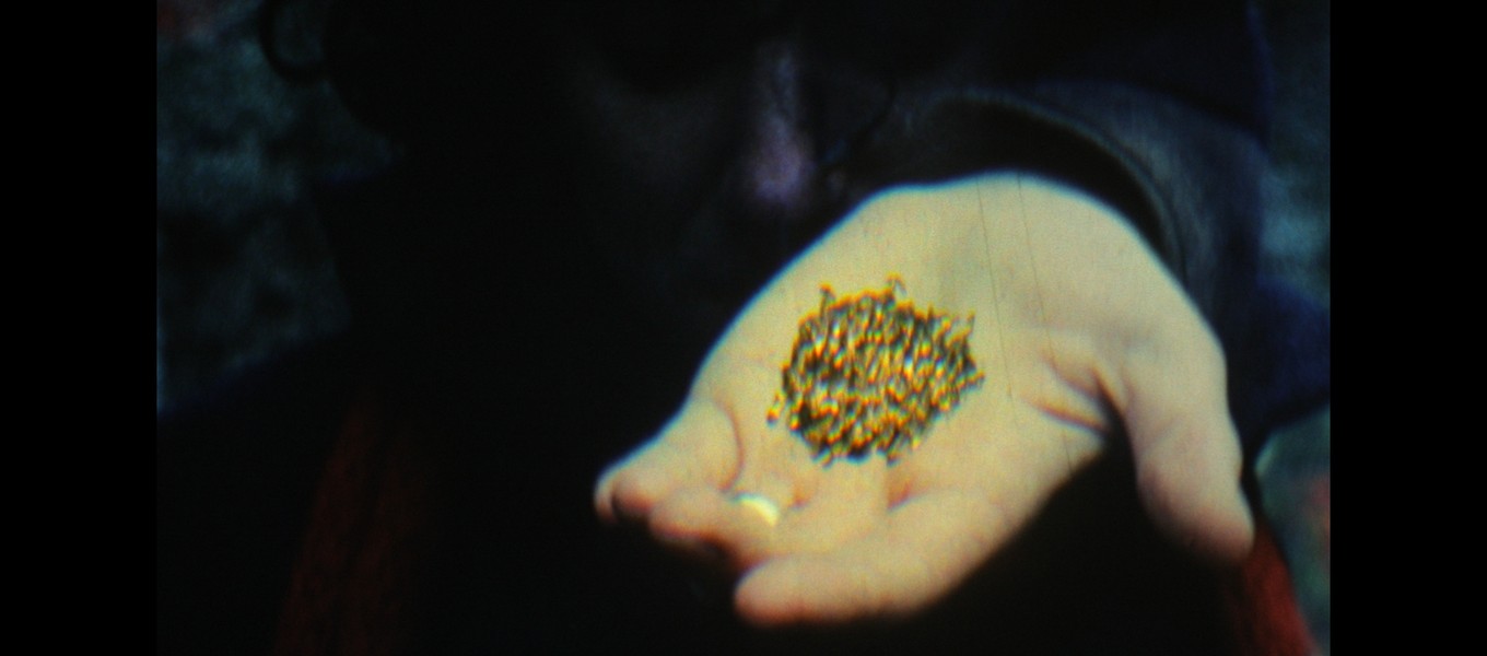 Catalogue of Swallowed Images