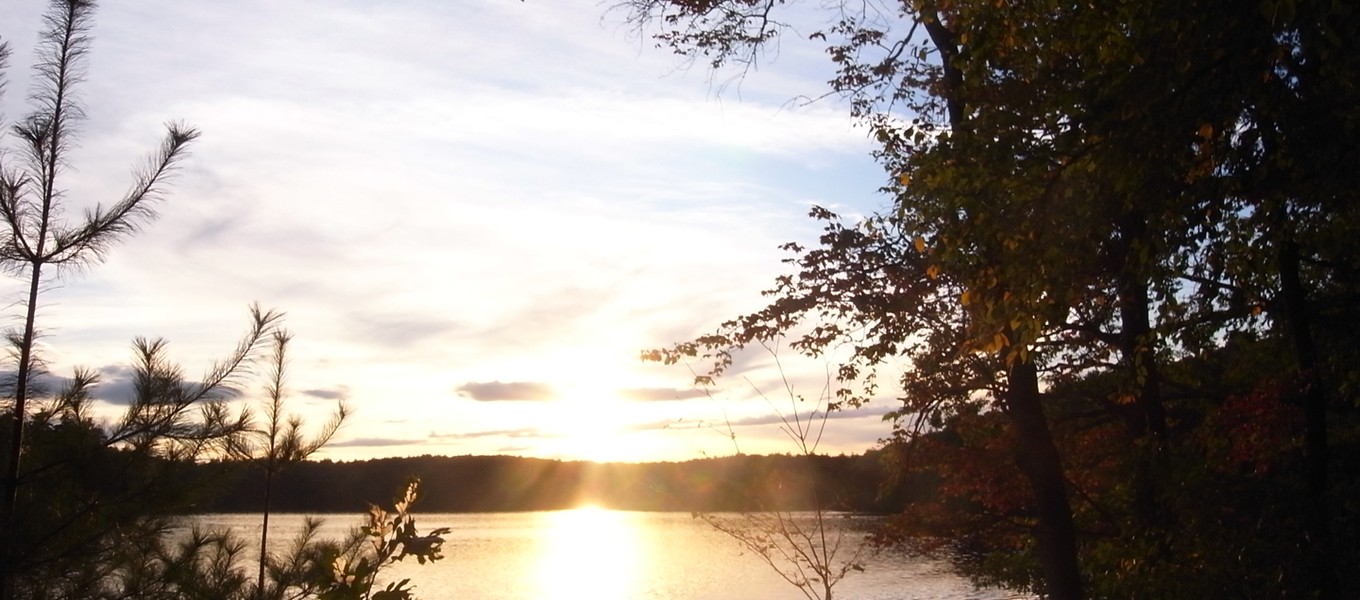 Re:walden matériau thoreau